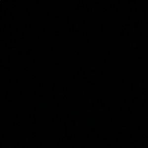 Meet your Posher, Daniela campos